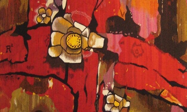 Expositie bij Wolatelier De Krachtige Kudde