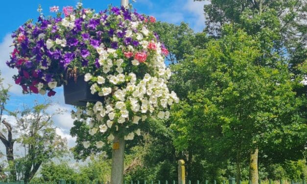 Egmond-Binnen fleurt op met prachtige bloembakken