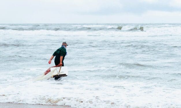 Korren aan het strand bij Bergen aan Zee*