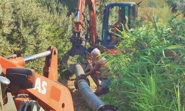 Intensieve inspanningen voor het droogleggen van de ‘doinlankies’ bij Egmond aan Zee: Hoop op nieuwe aanplant dit najaar