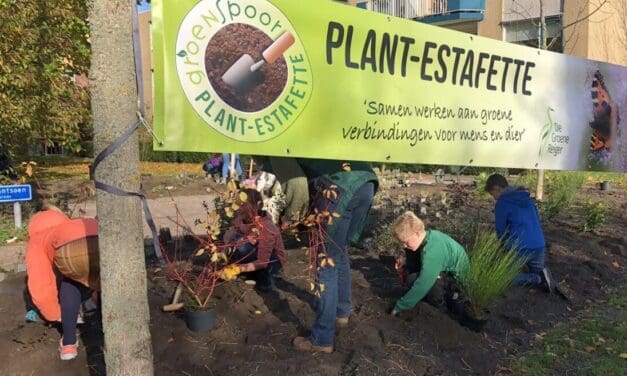 Leerlingen Windhoek school planten voor een groene, biodiverse speeltuin