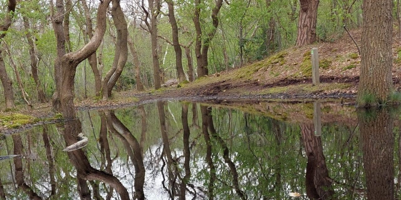 Laat je op laarzen verrassen door wonderen in de natuur.