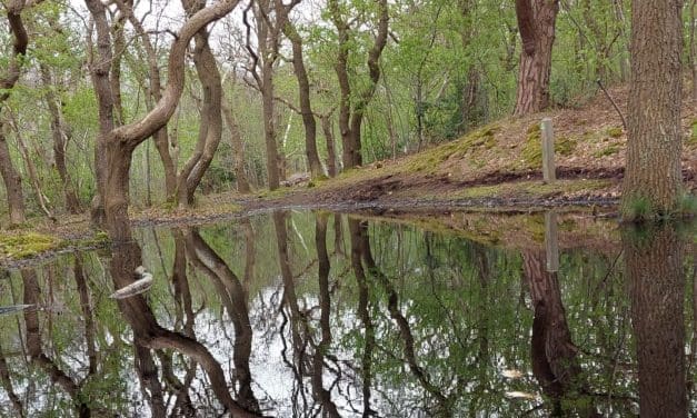 Laat je op laarzen verrassen door wonderen in de natuur.