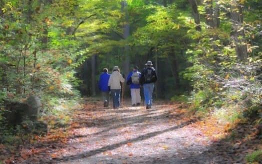 Steunpunt Mantelzorg Bergen organiseert voorjaarswandeling voor Mantelzorgers uit de gemeente Bergen