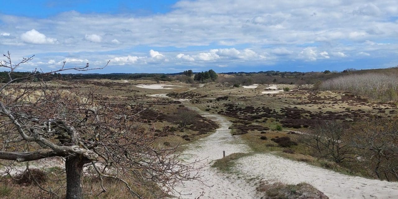 Op zoek naar de roffelende specht – Voorjaarswandeling op 10 maart