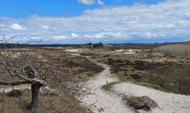 Op zoek naar de roffelende specht – Voorjaarswandeling op 10 maart