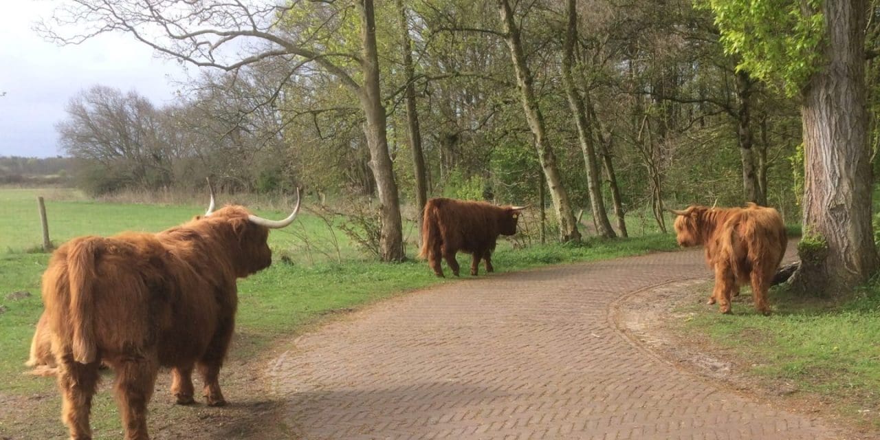 Ontdek de historie van de duinen met IVN
