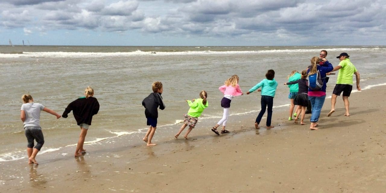 Korren in Bergen aan Zee: Zeeleven van dichtbij beleven met IVN