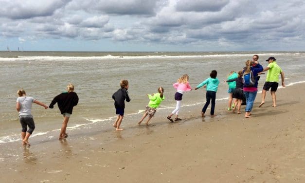 “19 oktober: Ontdek de schatkamers van de Noordzee met IVN zee-excursie”