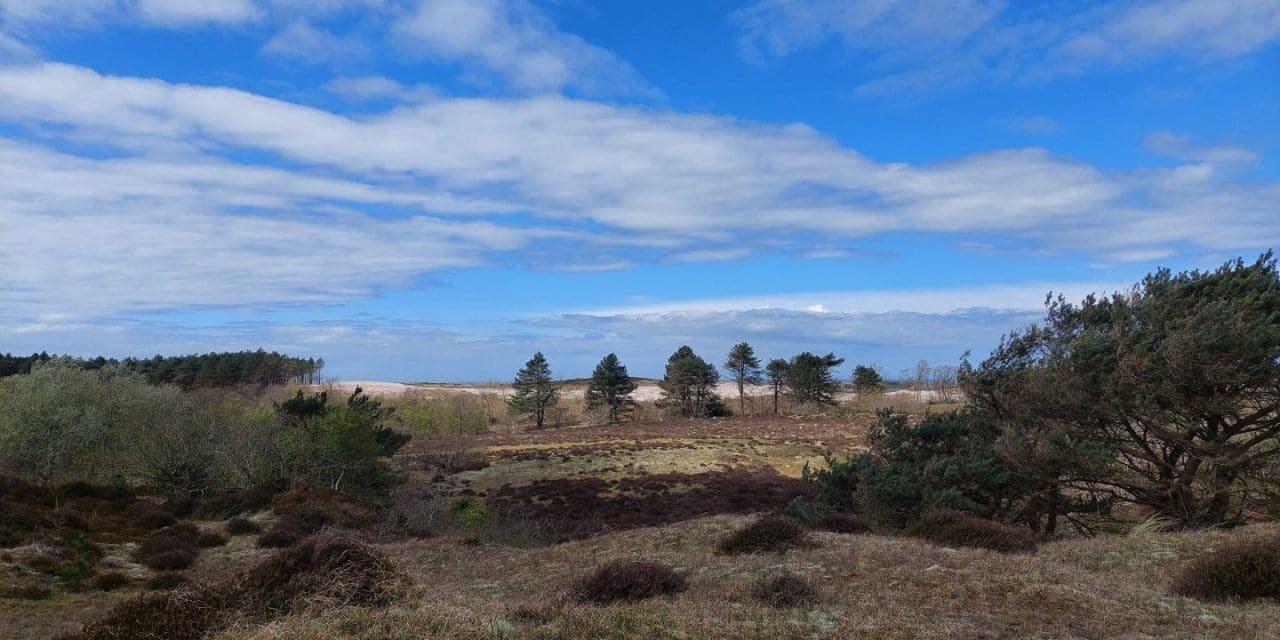 9 november: Ontdek de kleuren van de herfst in het Bergense duinlandschap