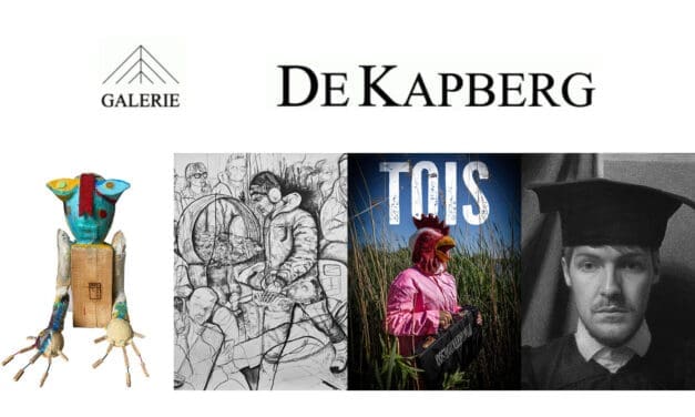 Jonge Makers in Beeld: nieuwe generatie kunstenaars bij De Kapberg