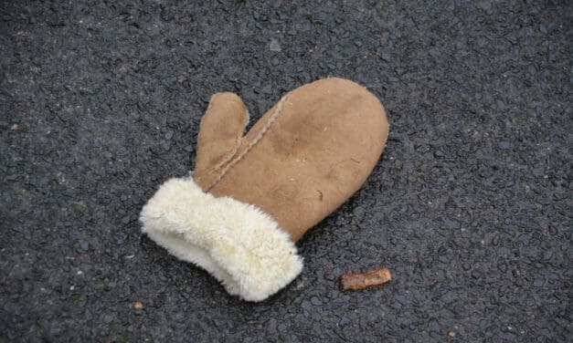 “Wij zijn een paar”! Verloren handschoenen krijgen tweede leven in Egmond