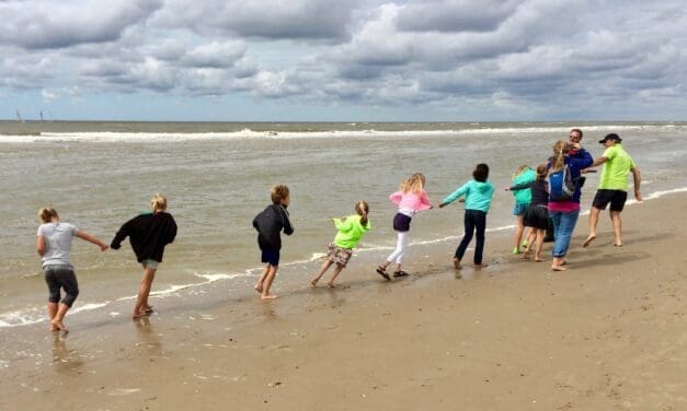 21 juni: Ontdek de Noordzee van dichtbij tijdens de IVN Zee-excursie