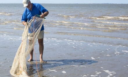 Wat zwemt er voor onze kust? Ontdek het bij PostaanZee