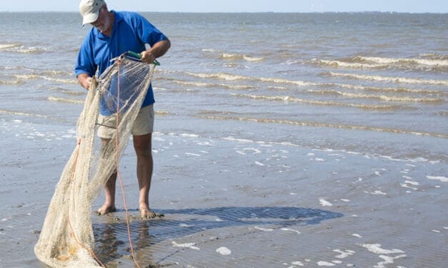 Wat zwemt er voor onze kust? Ontdek het bij PostaanZee