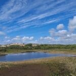 5 juli: IVN verkent het droge middenduin van de Wimmenummerduinen