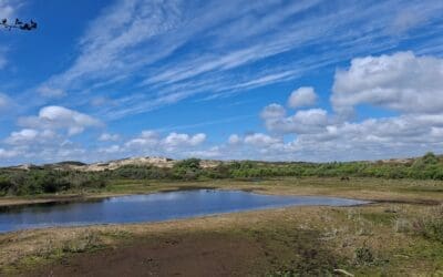 5 juli: IVN verkent het droge middenduin van de Wimmenummerduinen